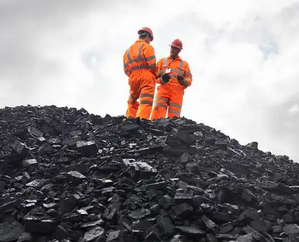 Determination of fluorine and chlorine in coal