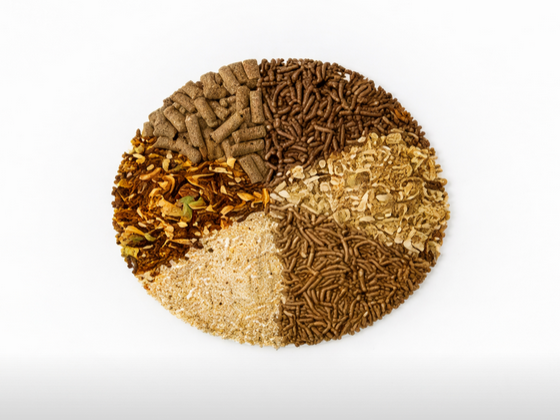 Caloric value test of Animal feeding stuffs & animal products